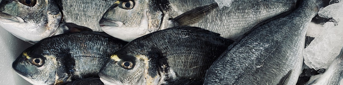 CMS,免費(fèi)CMS,免費(fèi)開源Java CMS,CMS系統(tǒng),Java CMS,CMS內(nèi)容管理系統(tǒng),企業(yè)CMS,HTML網(wǎng)頁模板,CMS模板,CMS源碼,網(wǎng)站源碼,信創(chuàng)系統(tǒng)軟件,安可系統(tǒng),網(wǎng)站建設(shè),模板網(wǎng)站,建站模板,建站工具,建站平臺,建站工具