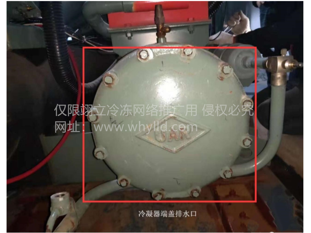 1707267531904.png 微信截圖_20240207083020_副本_副本.png