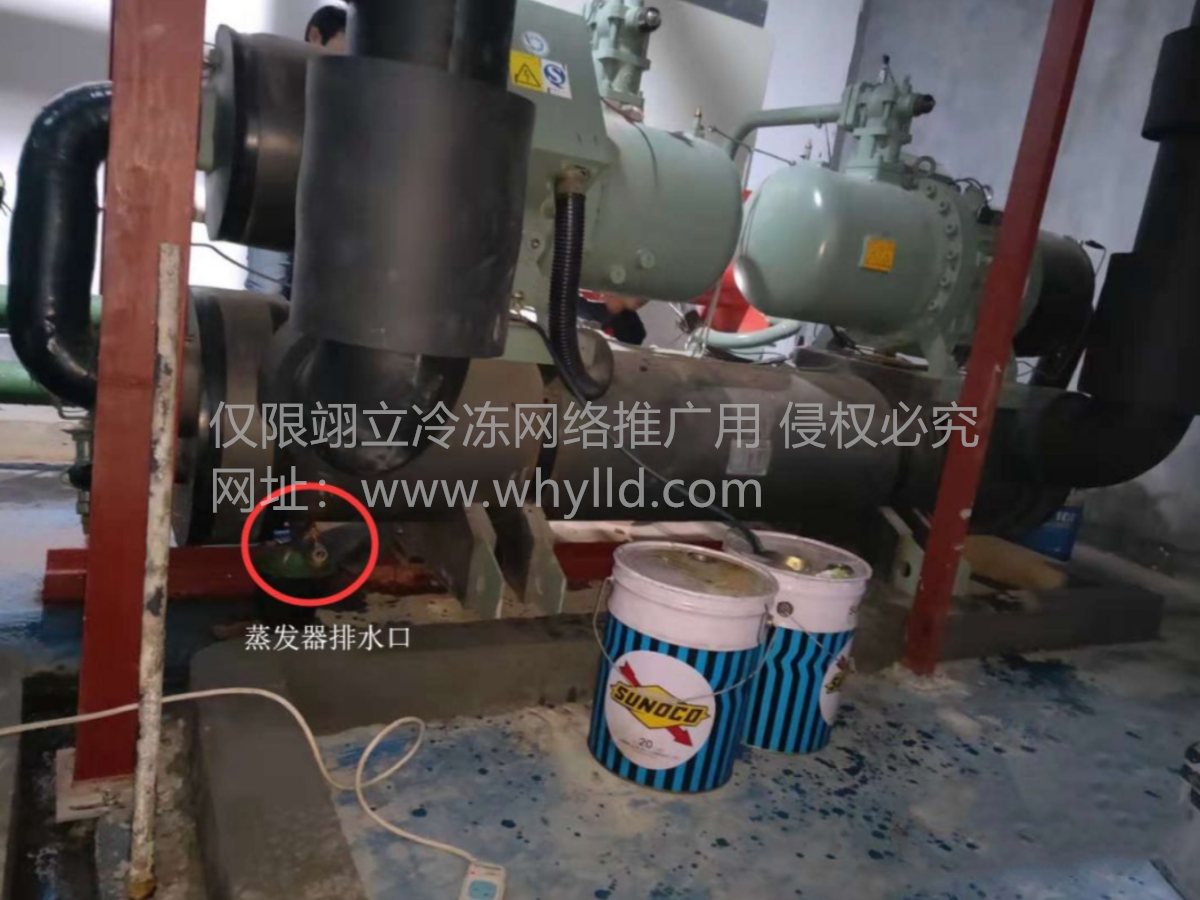 1707267538744.png 微信截圖_20240207083030_副本.png