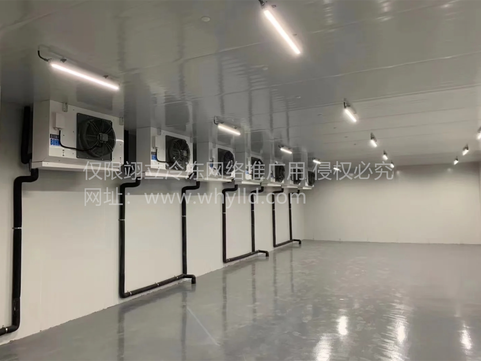 1707268002857.png 微信截圖_20240206213941_副本.png