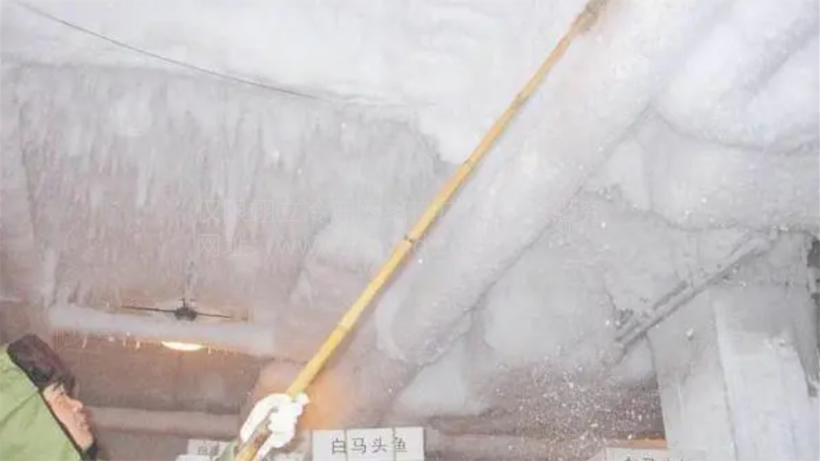 1708335667167.png 微信截圖_20240219173447 - 副本.png