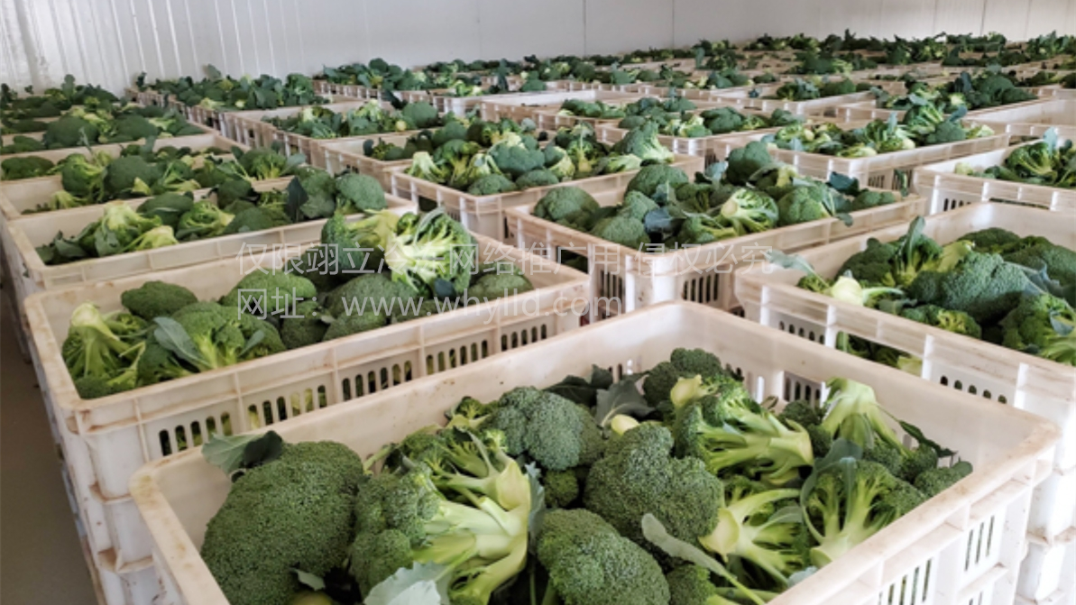 1709425297135.png 微信截圖_20240303081916.png