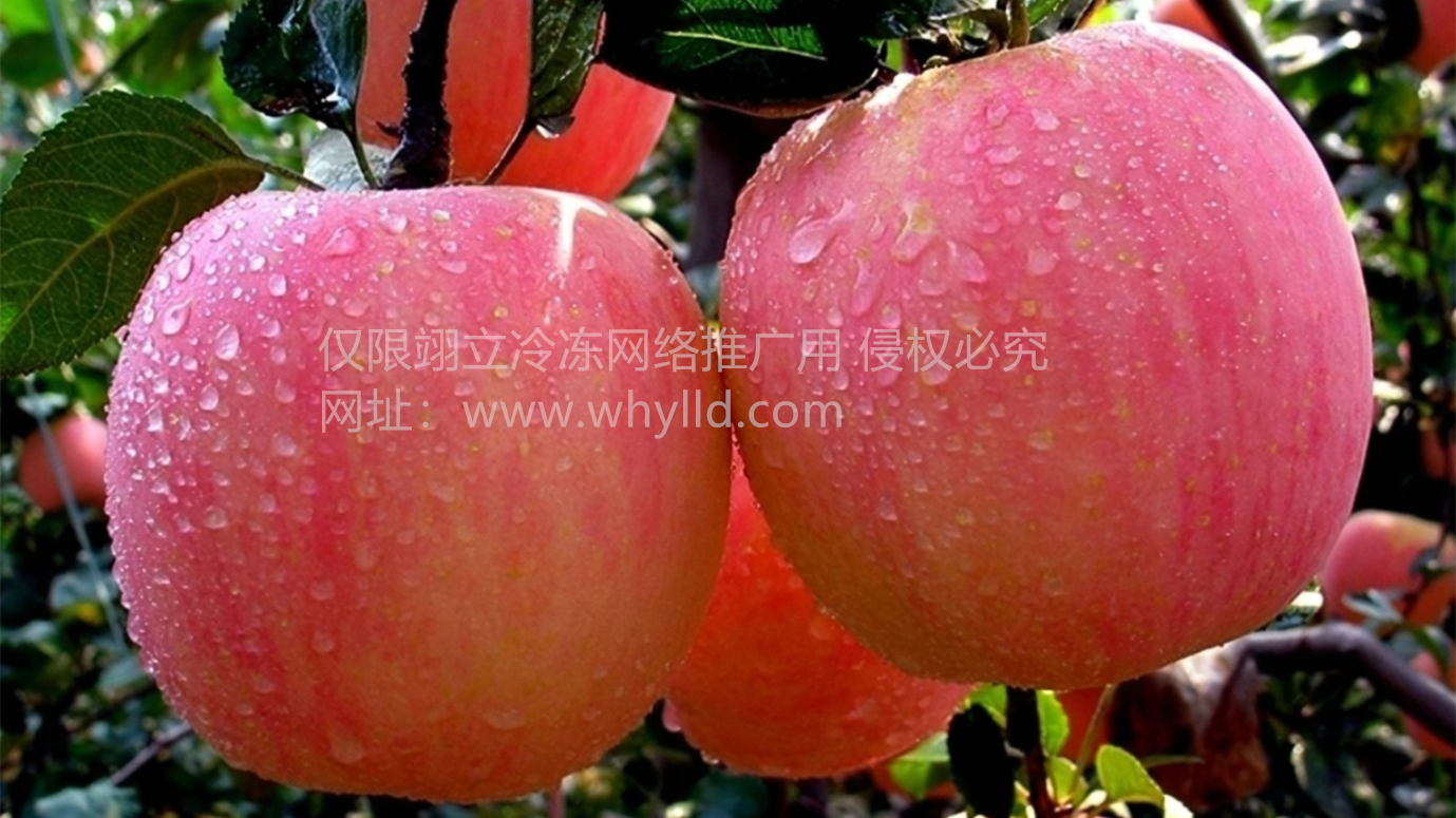 1709425880642.png 微信截圖_20240303082729.png